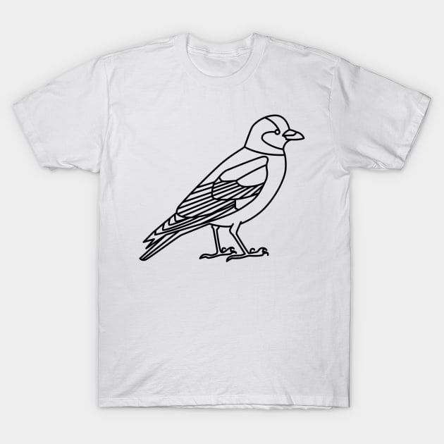 Jackdaw T-Shirt by Radradrad